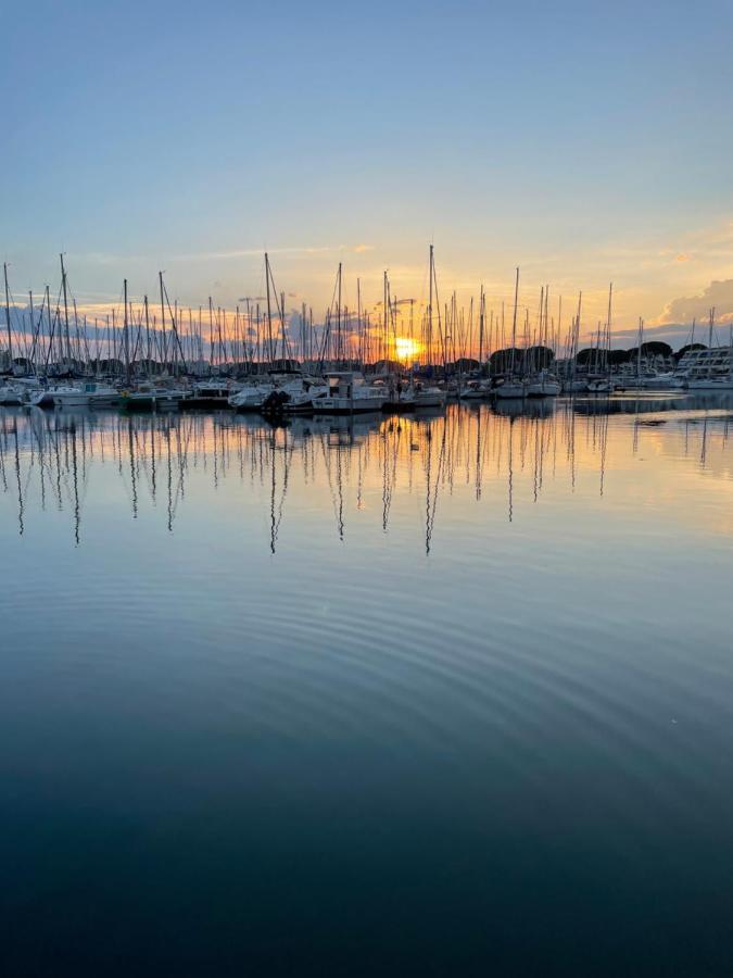 Superbe Studio, Terrasse, Piscine, Parking Le Grau-du-Roi Exteriér fotografie